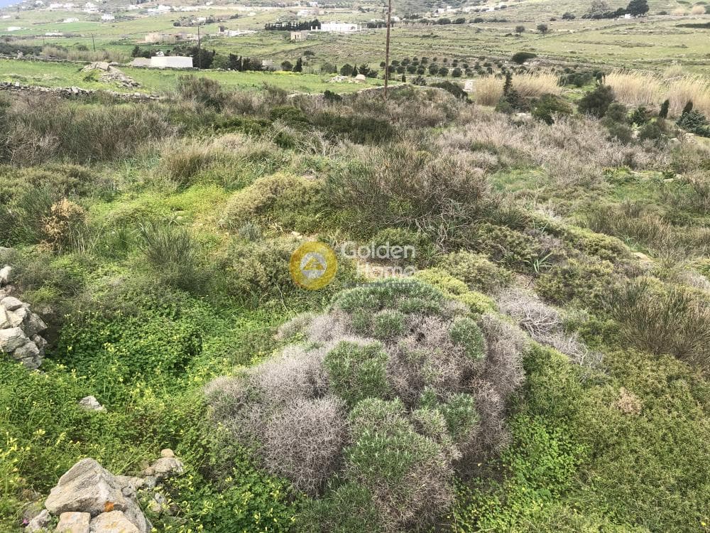 Αγροτεμάχιο στην Άγιος Χαράλαμπος, Πάρος — Φωτογραφία 4 από 8