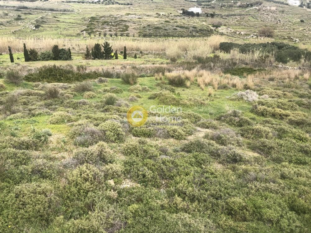 Αγροτεμάχιο στην Άγιος Χαράλαμπος, Πάρος — Φωτογραφία 6 από 8