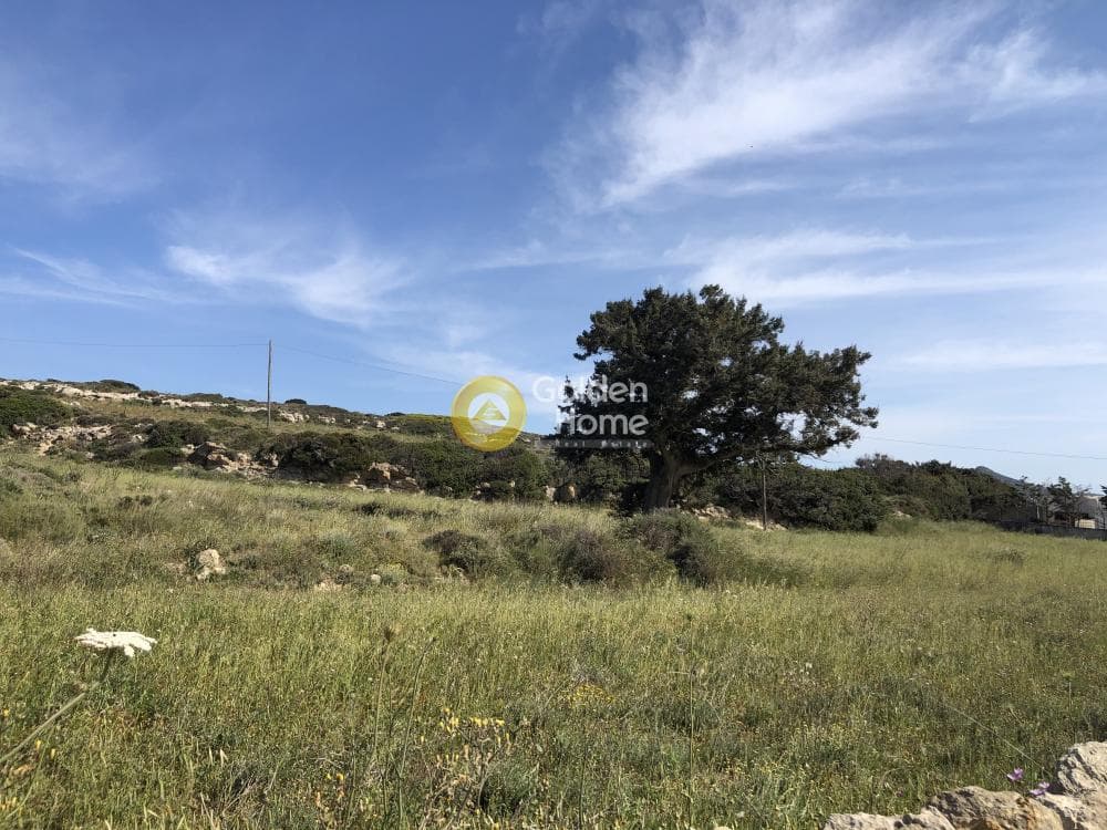 Οικόπεδο στην Ιστέρνι, Πάρος — Φωτογραφία 4 από 7