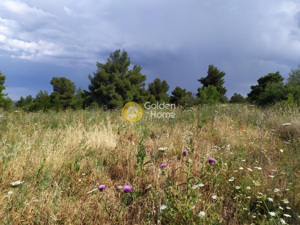 Parcel in Nimfon, Agios Stefanos — Photo 3 of 11