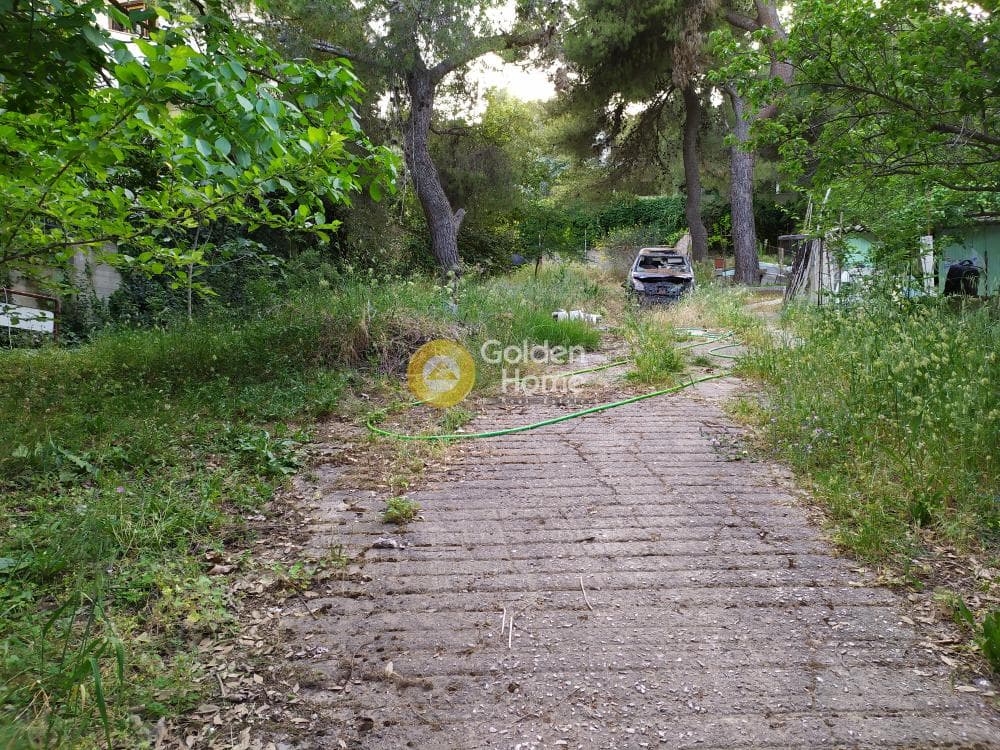 Building Plot in Efxinos Pontos, Stamata — Photo 6 of 7