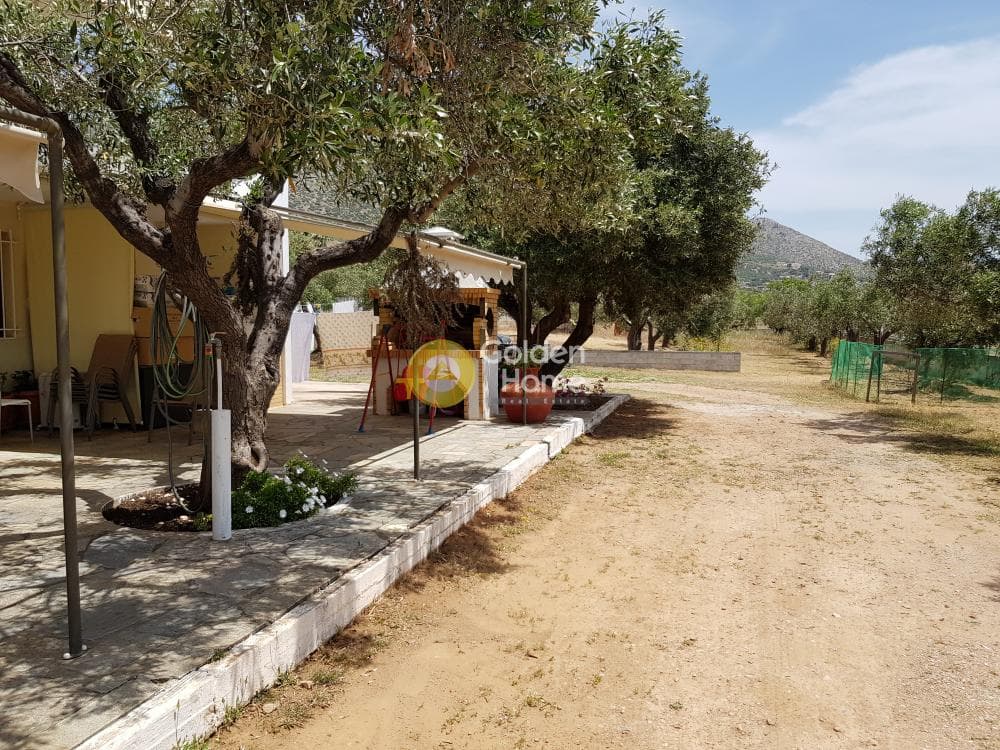 House in Kalivia, Kalivia Thorikou — Photo 15 of 19