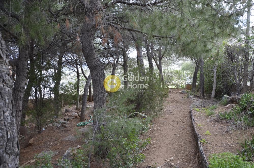 Μονοκατοικία στην Μεγάλα Σχοινία Α, Αχαρνές — Φωτογραφία 12 από 18