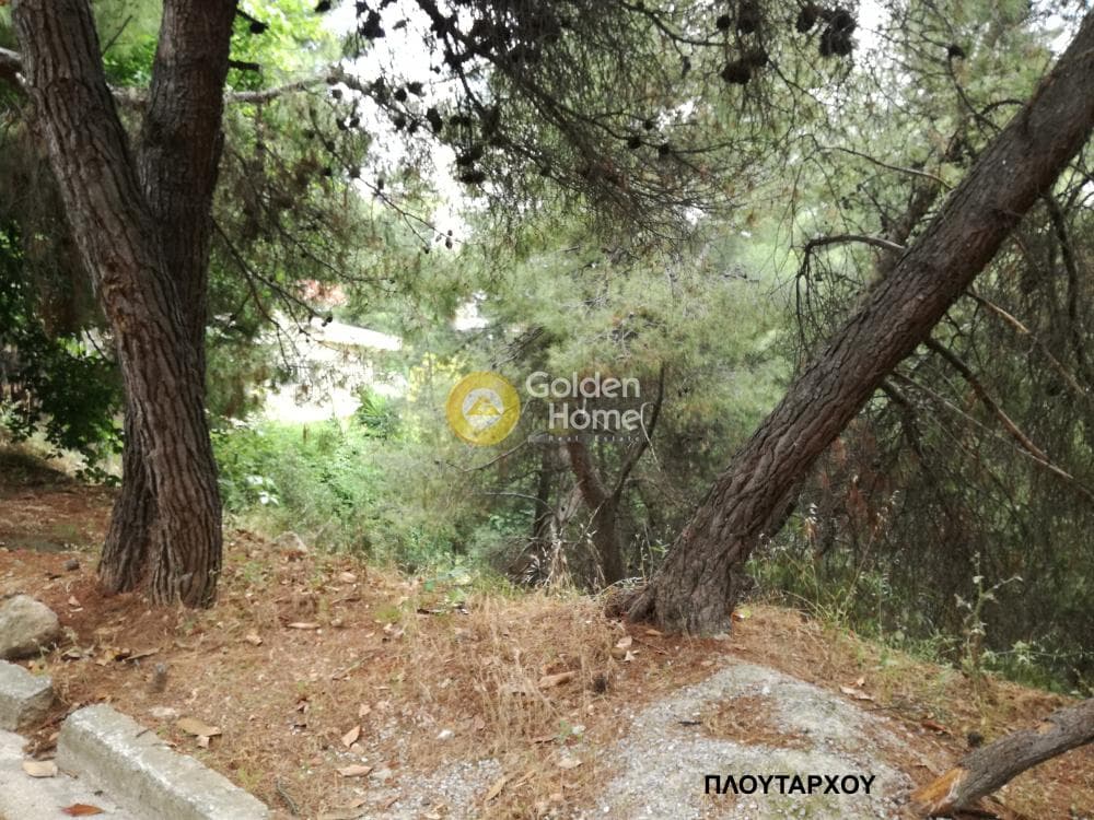 Οικόπεδο στην Νέα Κηφισιά, Κηφισιά — Φωτογραφία 2 από 5