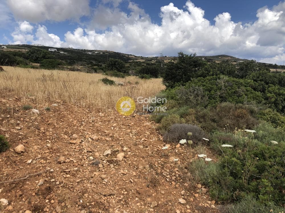 Parcel in Glifades, Paros — Photo 4 of 6