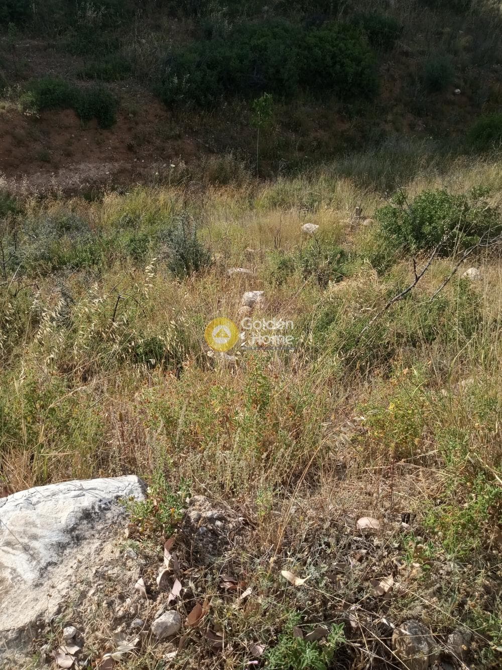 Building Plot in Neos Voutzas, Rafina — Photo 5 of 17