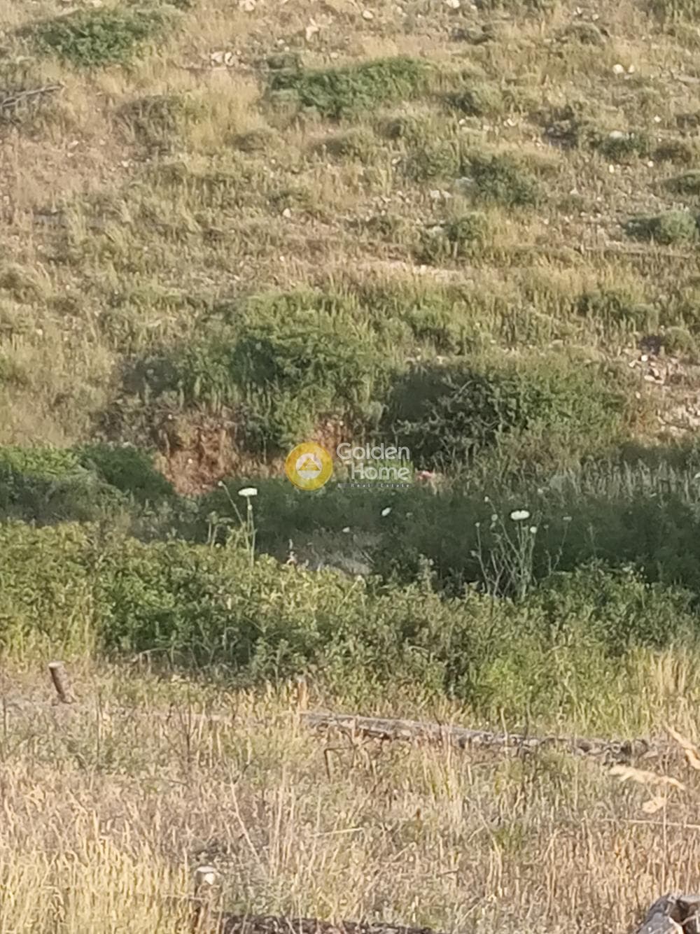 Building Plot in Neos Voutzas, Rafina — Photo 12 of 17