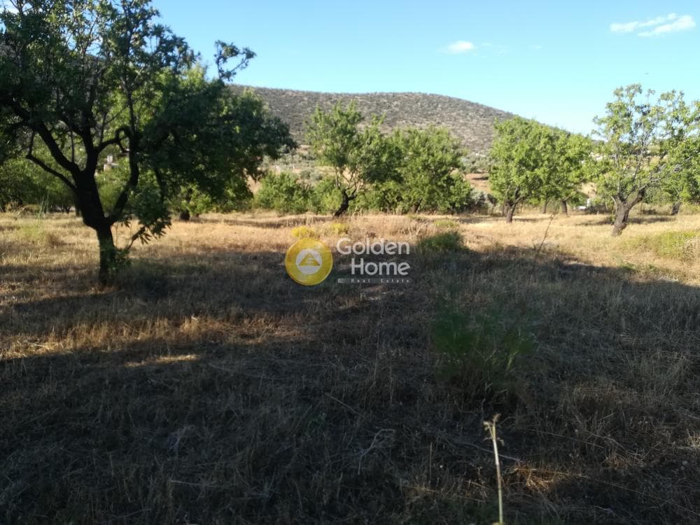 Building Plot in Lamprika, Koropi — Photo 1 of 6
