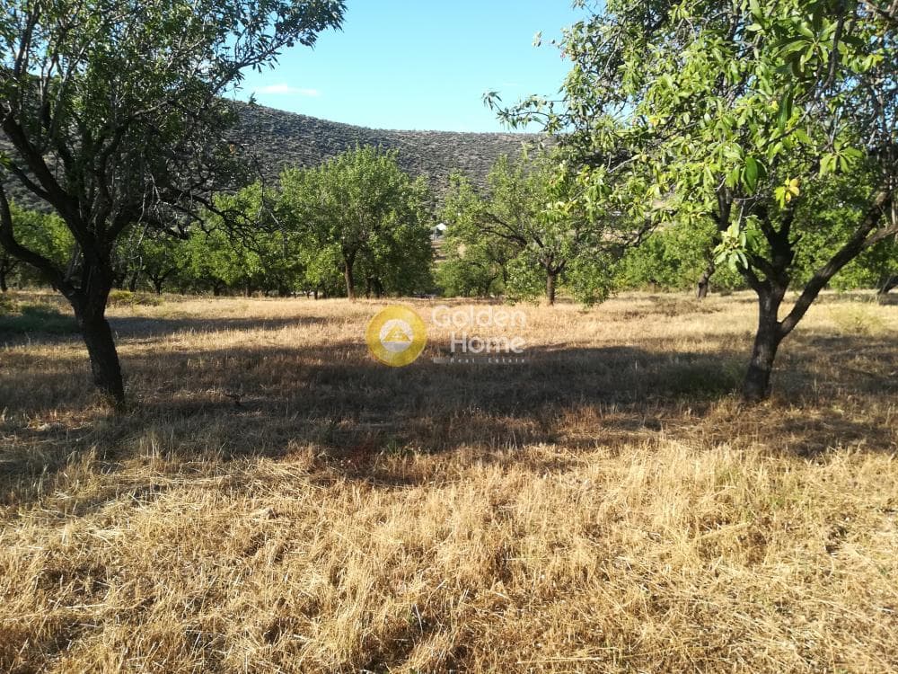 Building Plot in Lamprika, Koropi — Photo 2 of 6
