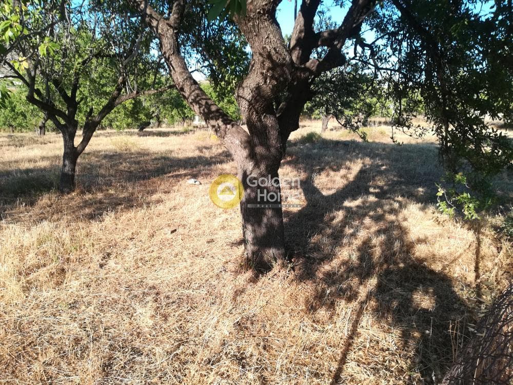 Building Plot in Lamprika, Koropi — Photo 3 of 6