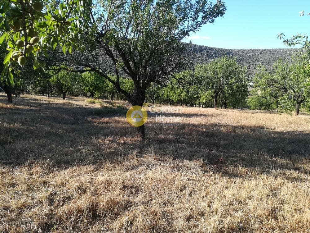 Building Plot in Lamprika, Koropi — Photo 4 of 6