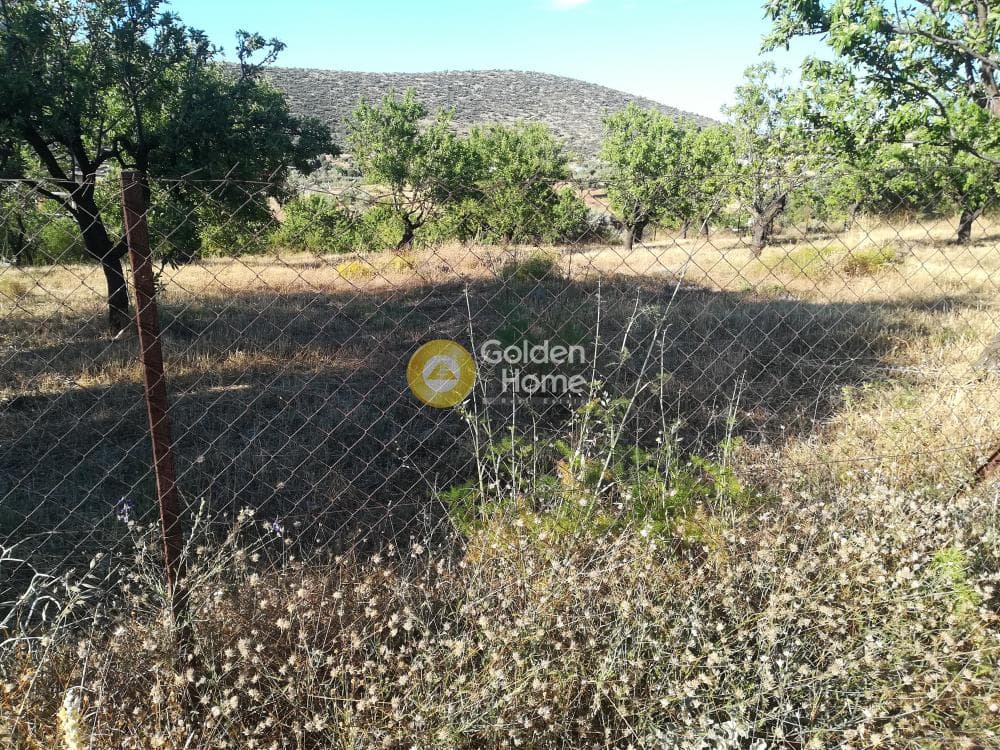 Building Plot in Lamprika, Koropi — Photo 5 of 6