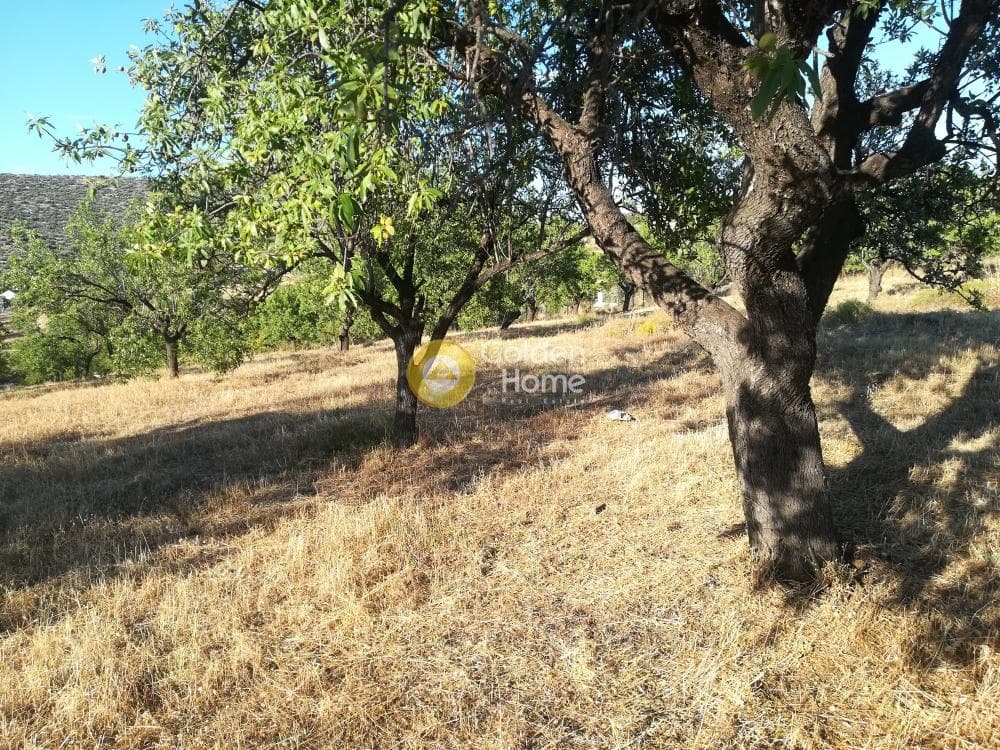 Building Plot in Lamprika, Koropi — Photo 6 of 6