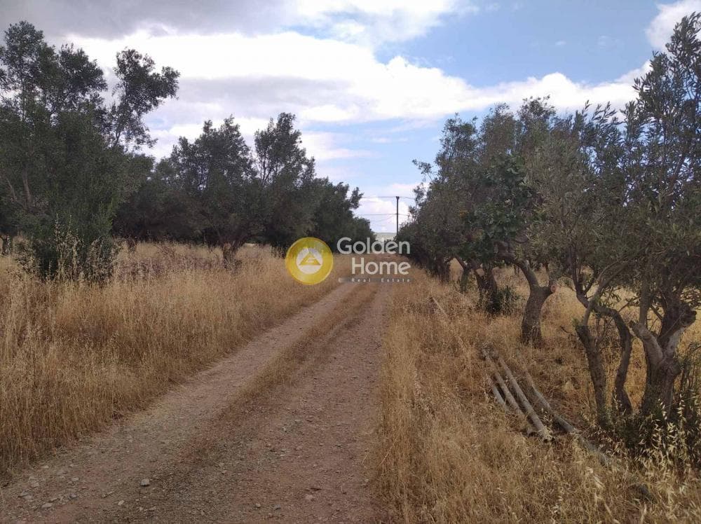 Parcel in Kalivia, Kalivia Thorikou — Photo 2 of 4