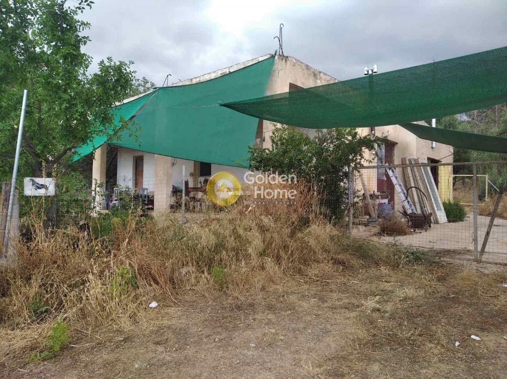 Parcel in Kalivia, Kalivia Thorikou — Photo 3 of 4
