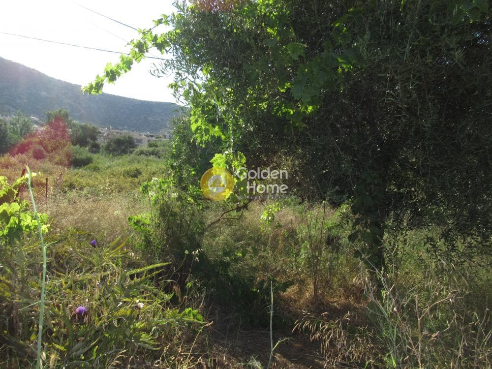 Building Plot in Porto Rafti, Vravrona — Photo 7 of 14