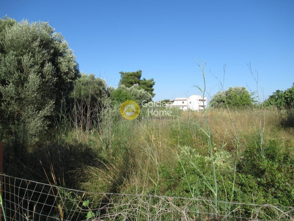 Building Plot in Porto Rafti, Vravrona — Photo 9 of 14