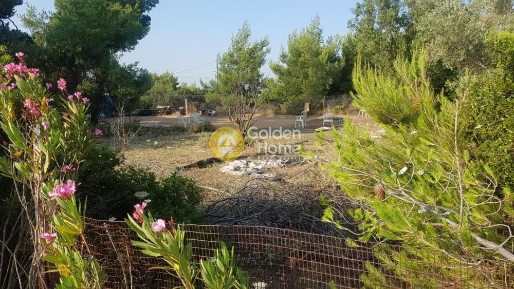Αγροτεμάχιο στην Μεγάλα Σχοινία Α, Αχαρνές — Φωτογραφία 5 από 6