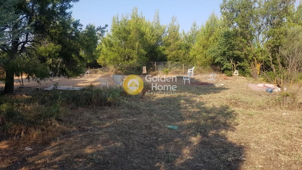 Αγροτεμάχιο στην Μεγάλα Σχοινία Α, Αχαρνές — Φωτογραφία 3 από 6