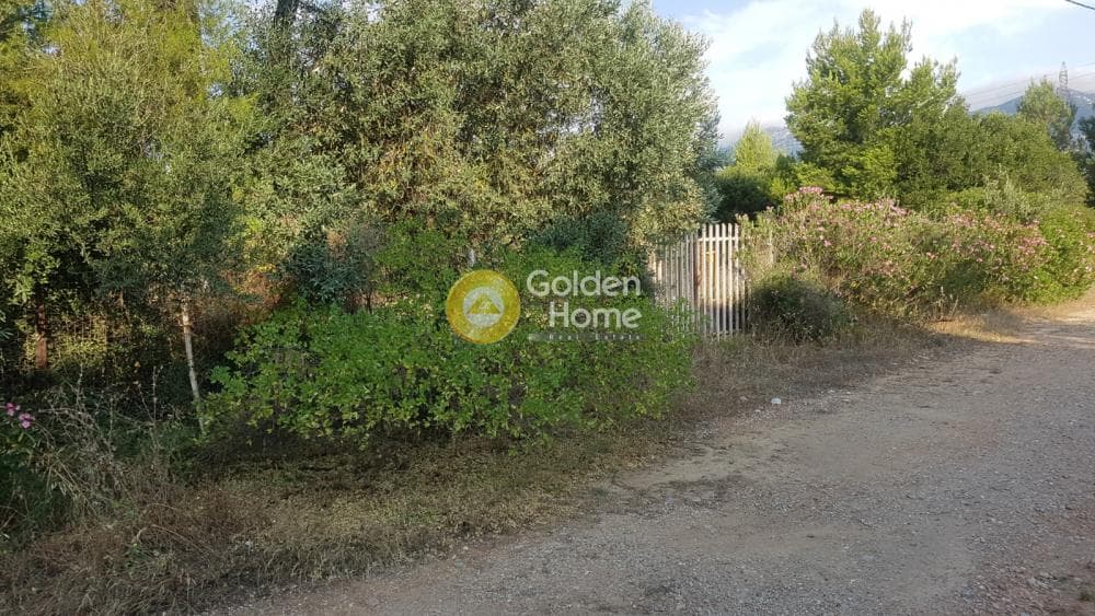 Αγροτεμάχιο στην Μεγάλα Σχοινία Α, Αχαρνές — Φωτογραφία 1 από 6