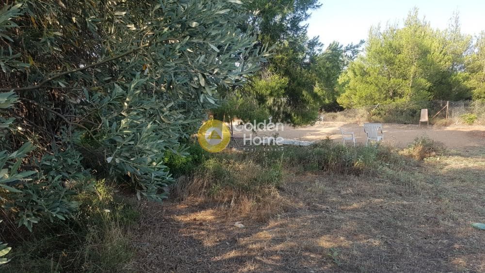 Αγροτεμάχιο στην Μεγάλα Σχοινία Α, Αχαρνές — Φωτογραφία 4 από 6