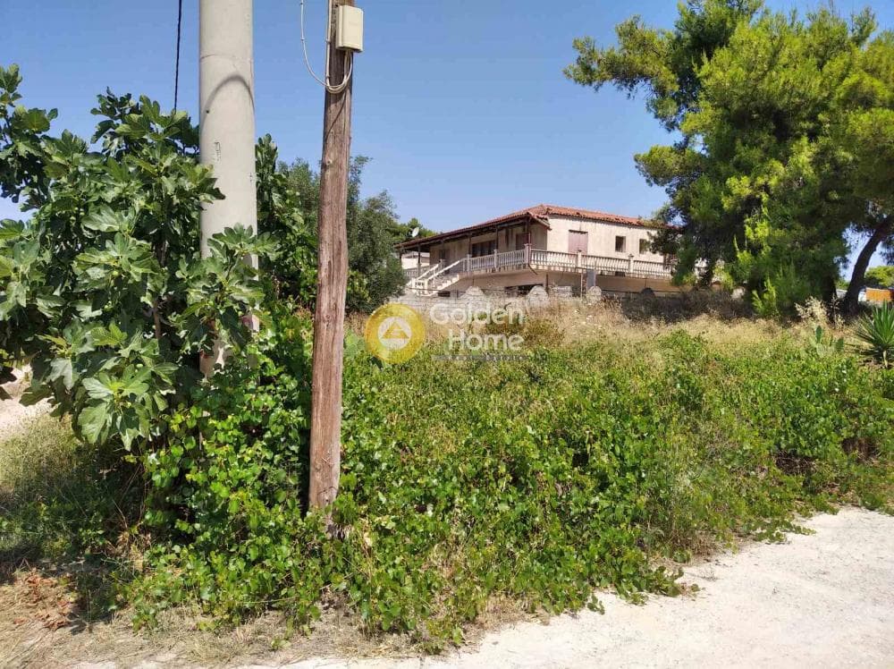 Parcel in Agios Serafeim, Artemida (Loutsa) — Photo 4 of 4