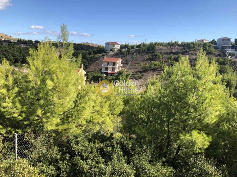 Οικόπεδο στην Δασαμάρι, Πικέρμι — Φωτογραφία 2 από 5