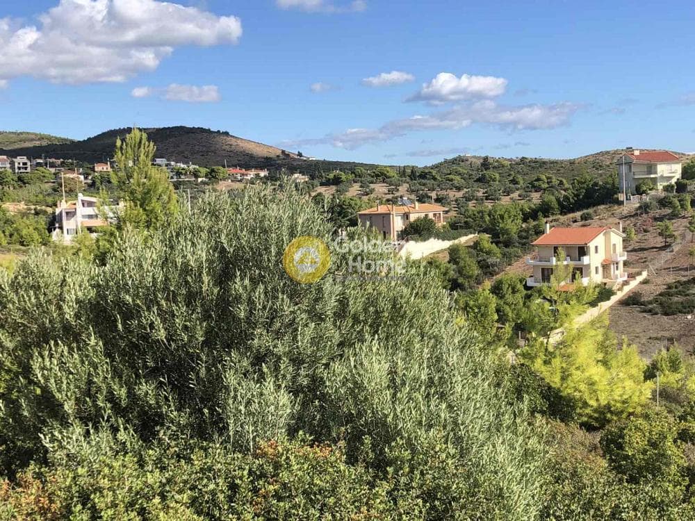 Οικόπεδο στην Δασαμάρι, Πικέρμι — Φωτογραφία 5 από 5