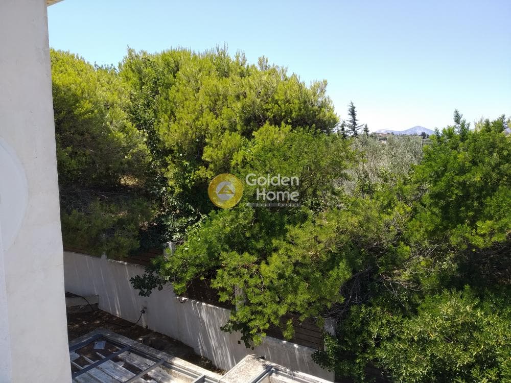 Μονοκατοικία στην Κουλιδάς, Μαρκόπουλο — Φωτογραφία 71 από 75