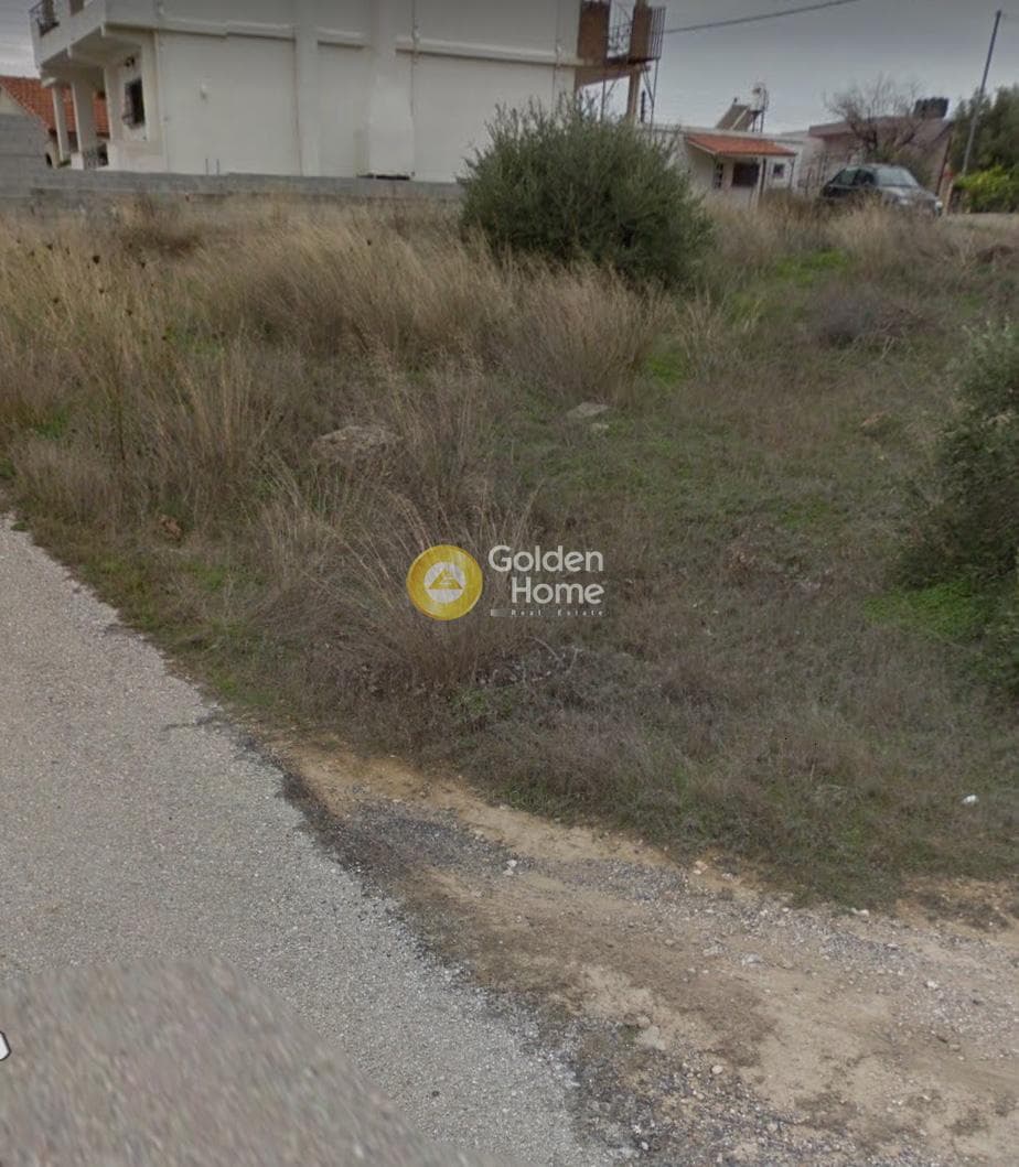 Αγροτεμάχιο στην Άγιος Σεραφείμ, Αρτέμιδα (Λούτσα) — Φωτογραφία 3 από 4
