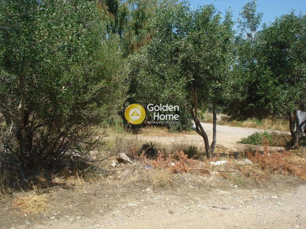 Οικόπεδο στην Καλύβια, Καλύβια Θορικού