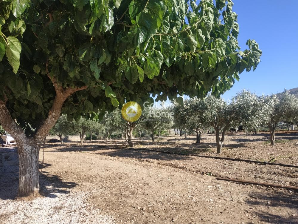 Αγροτεμάχιο στην Πεύκα, Κερατέα — Φωτογραφία 3 από 6