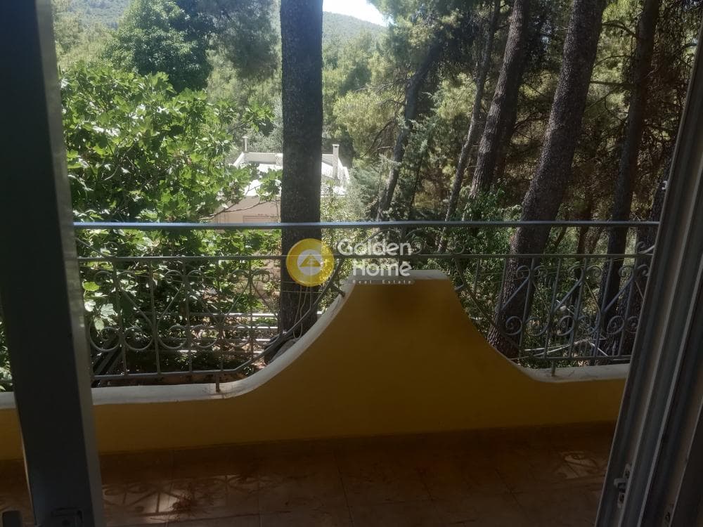 Μονοκατοικία στην Δροσιά, Δροσιά — Φωτογραφία 6 από 11