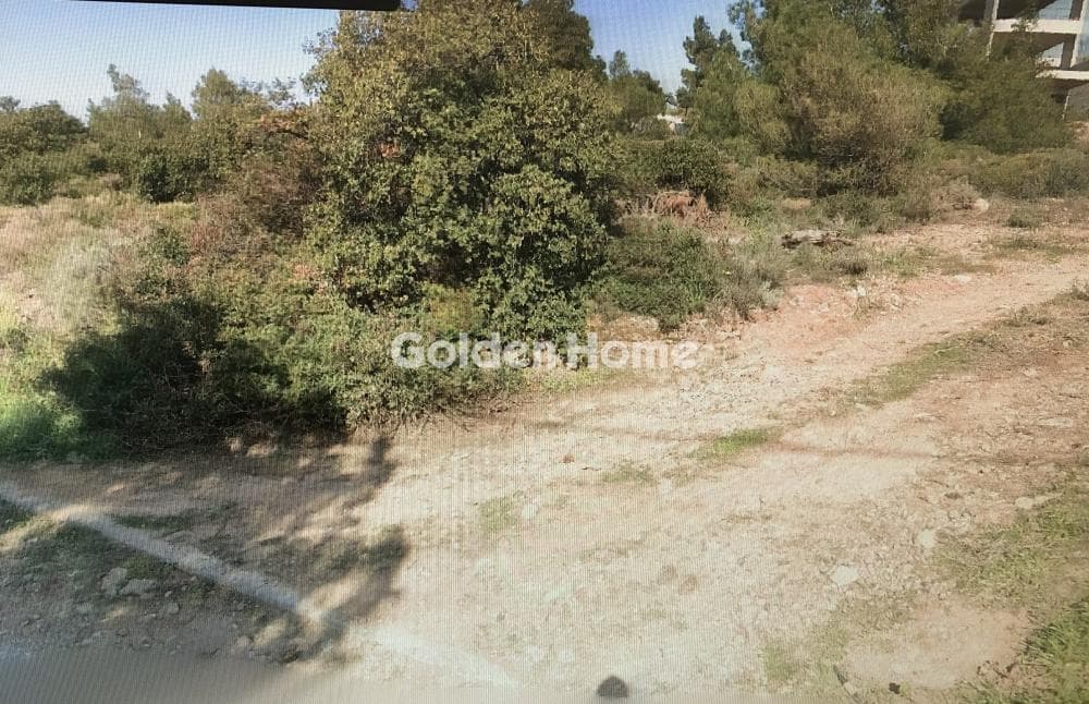 Οικόπεδο στην Δασαμάρι, Πικέρμι