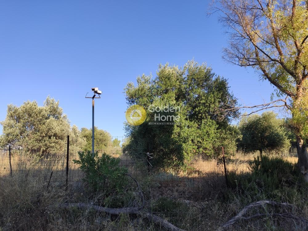 Βιομηχανικός Χώρος στην Πανόραμα, Λυκόβρυση — Φωτογραφία 5 από 36