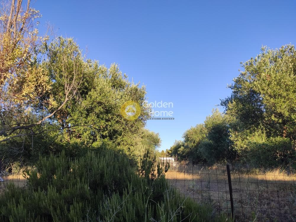Βιομηχανικός Χώρος στην Πανόραμα, Λυκόβρυση — Φωτογραφία 36 από 36