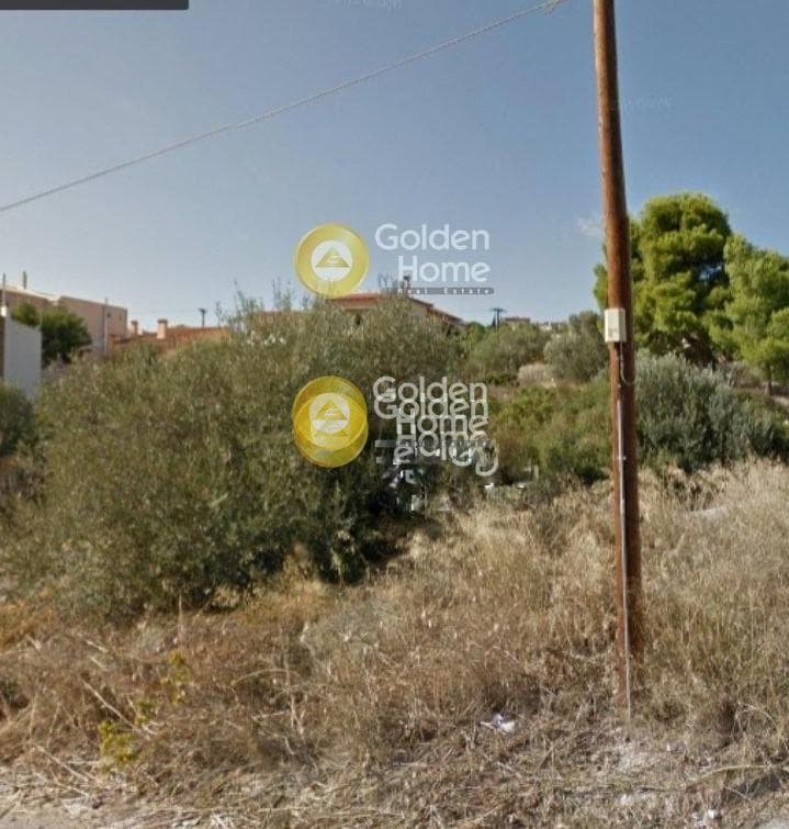 Building Plot in Kalitexnoupoli, Rafina
