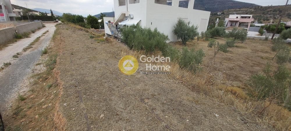 Building Plot in Κέντρο, Kalivia Thorikou — Photo 11 of 18