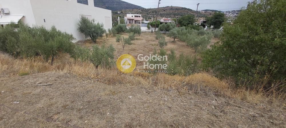 Building Plot in Κέντρο, Kalivia Thorikou — Photo 13 of 18