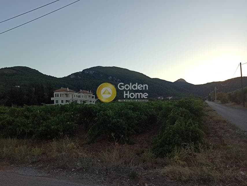 Οικόπεδο στην Σταθμός Αφιδνών, Αφίδνες — Φωτογραφία 4 από 5