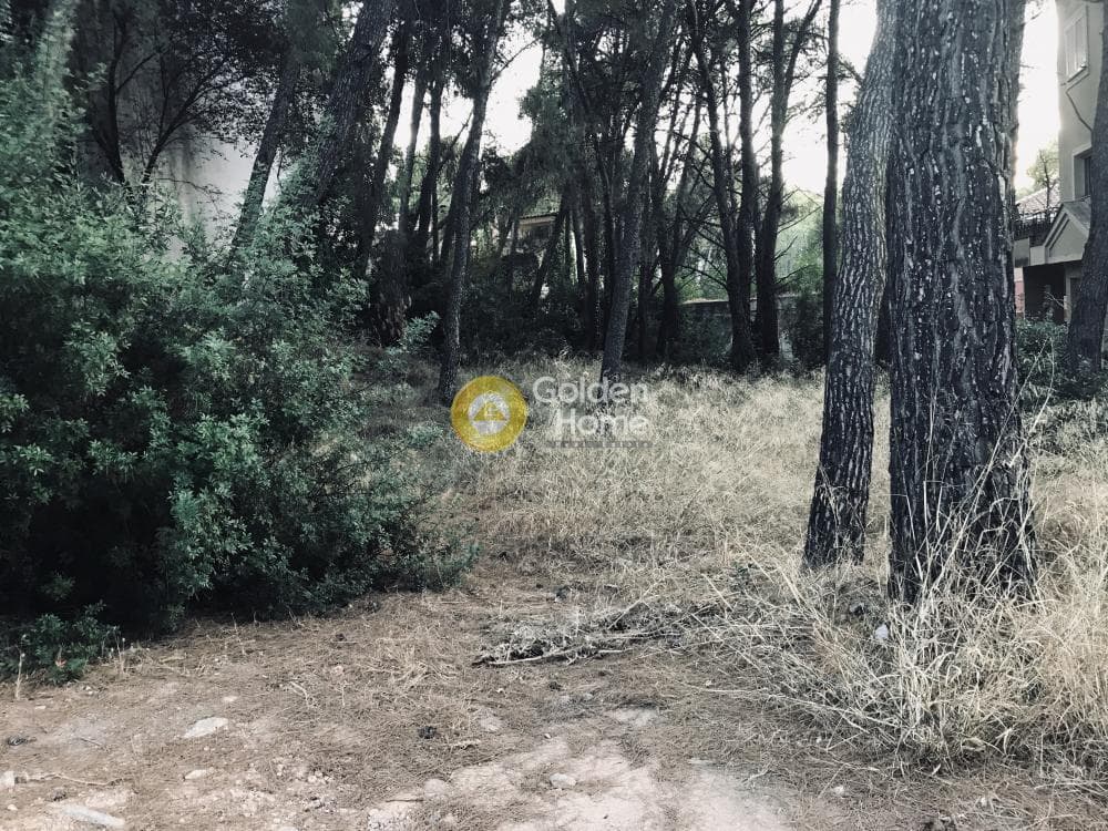 Οικόπεδο στην Αδάμες (Οικισμός Πελοποννησίων), Κηφισιά — Φωτογραφία 2 από 3