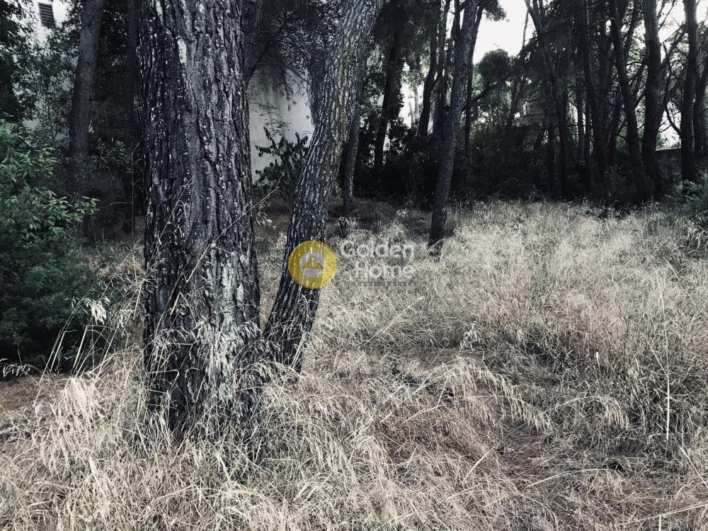 Οικόπεδο στην Αδάμες (Οικισμός Πελοποννησίων), Κηφισιά — Φωτογραφία 3 από 3