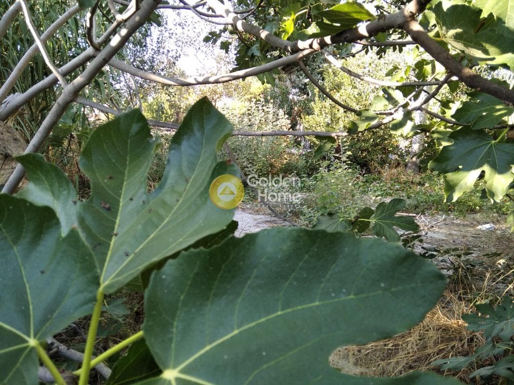 Οικόπεδο στην Άνω Μπαλάνα, Παλλήνη — Φωτογραφία 1 από 8