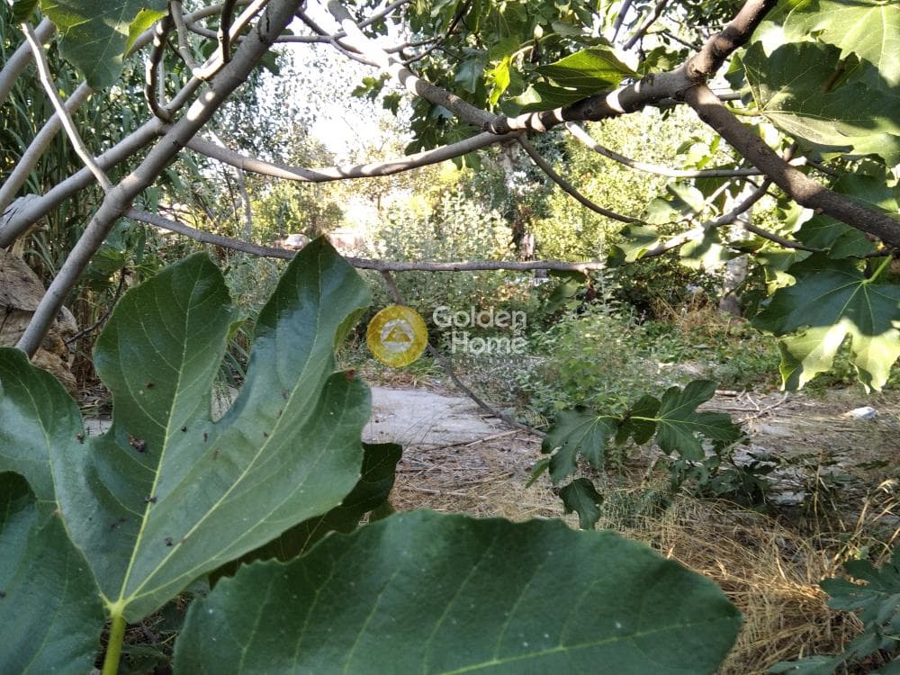 Οικόπεδο στην Άνω Μπαλάνα, Παλλήνη — Φωτογραφία 4 από 8