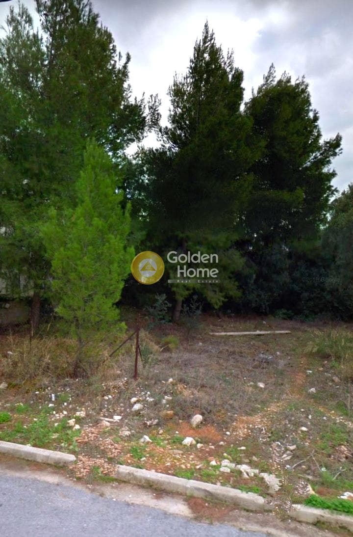 Οικόπεδο στην Κάτω Χαρβάτι, Παλλήνη