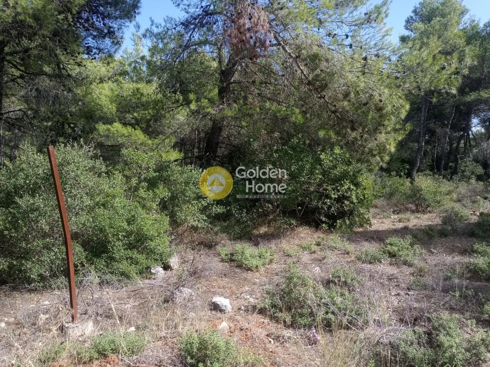 Building Plot in Agia Triada, Afidnes — Photo 1 of 2