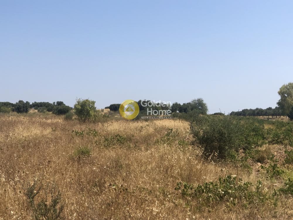 Parcel in Neapoli, Spata — Photo 1 of 6