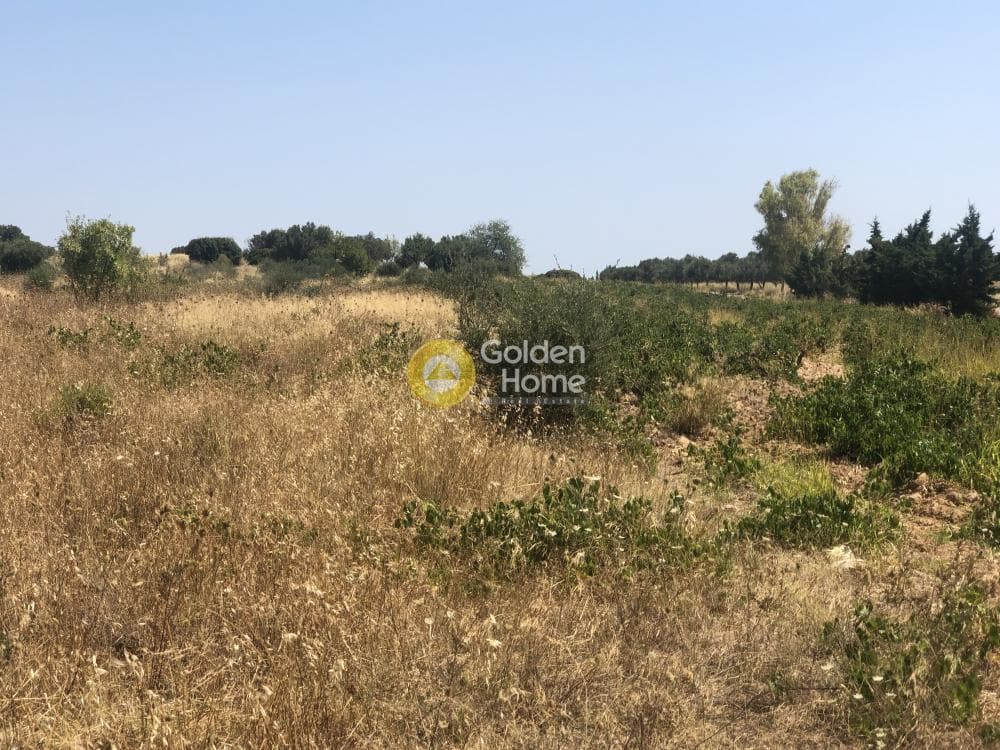 Parcel in Neapoli, Spata — Photo 2 of 6