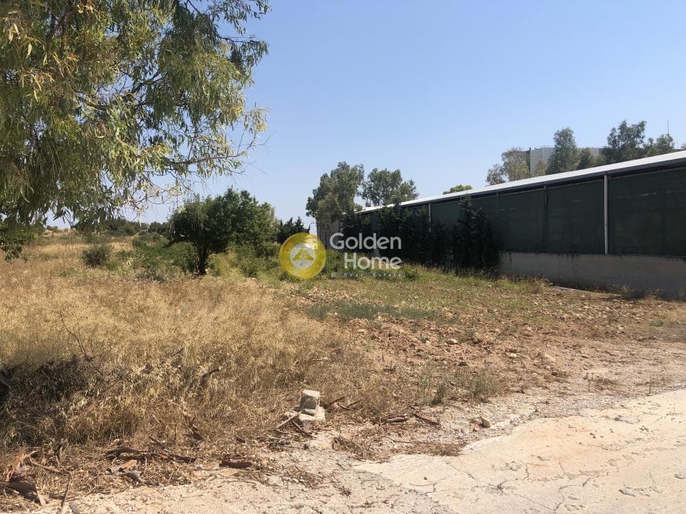 Parcel in Neapoli, Spata — Photo 5 of 6