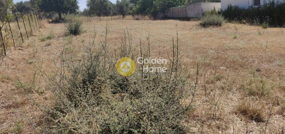 Building Plot in Karouzi, Pallini — Photo 3 of 4
